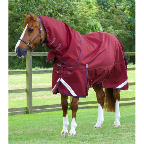 Titan 50g Turnout Rug with Classic Neck Cover