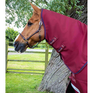 Titan 50g Turnout Rug with Classic Neck Cover