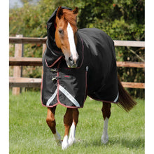 Load image into Gallery viewer, Titan 100g Turnout Rug with Snug-Fit Neck Cover