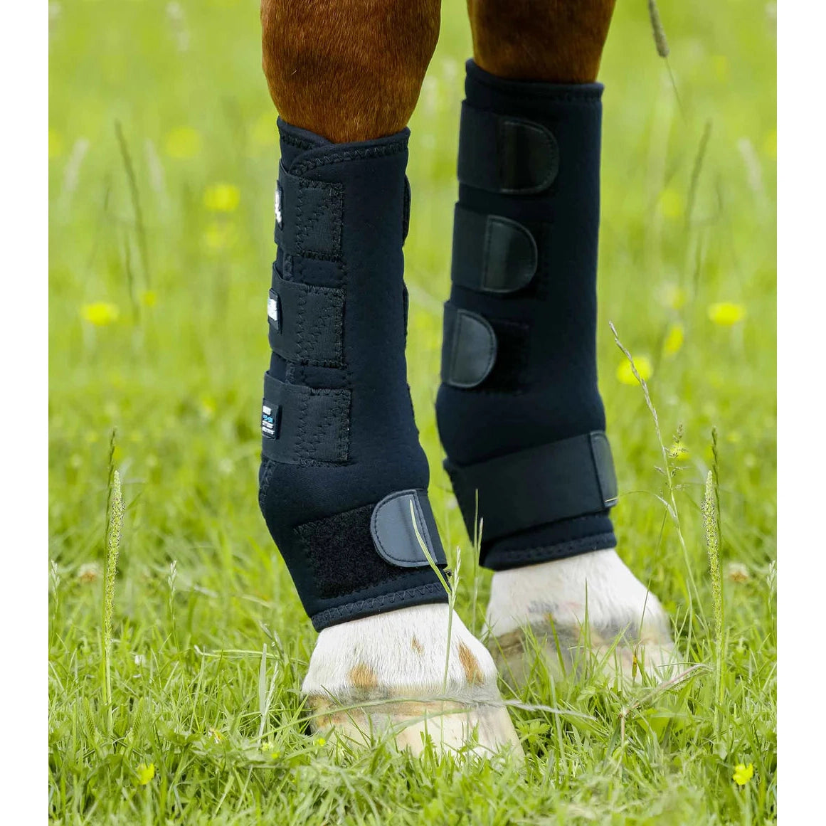 Horse 2025 turnout boots