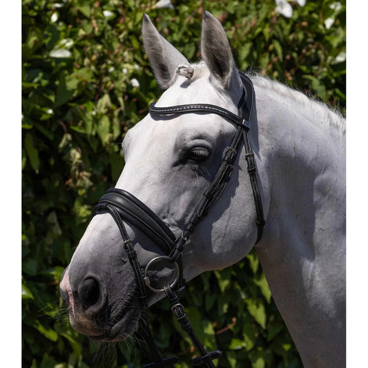 Veneto Anatomical Snaffle Bridle (No reins)