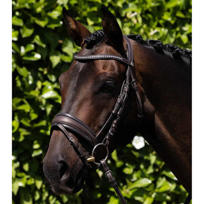 Veneto Anatomical Snaffle Bridle (No reins)