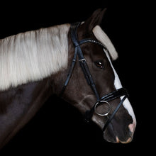Load image into Gallery viewer, Arcadia Luxury Leather Bridle (Hanoverian)
