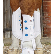 Load image into Gallery viewer, Air Cooled Original Eventing Boots - Hind