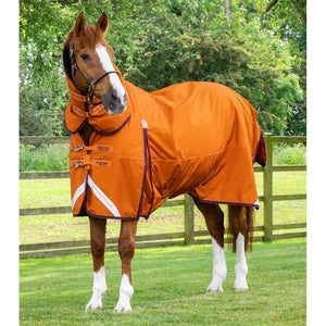 Buster Storm 200g Combo Turnout Rug with Classic Neck