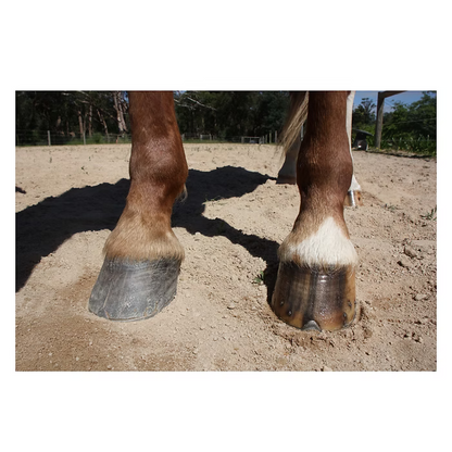 Hoof Moisturiser