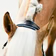 Paris Leather Halter