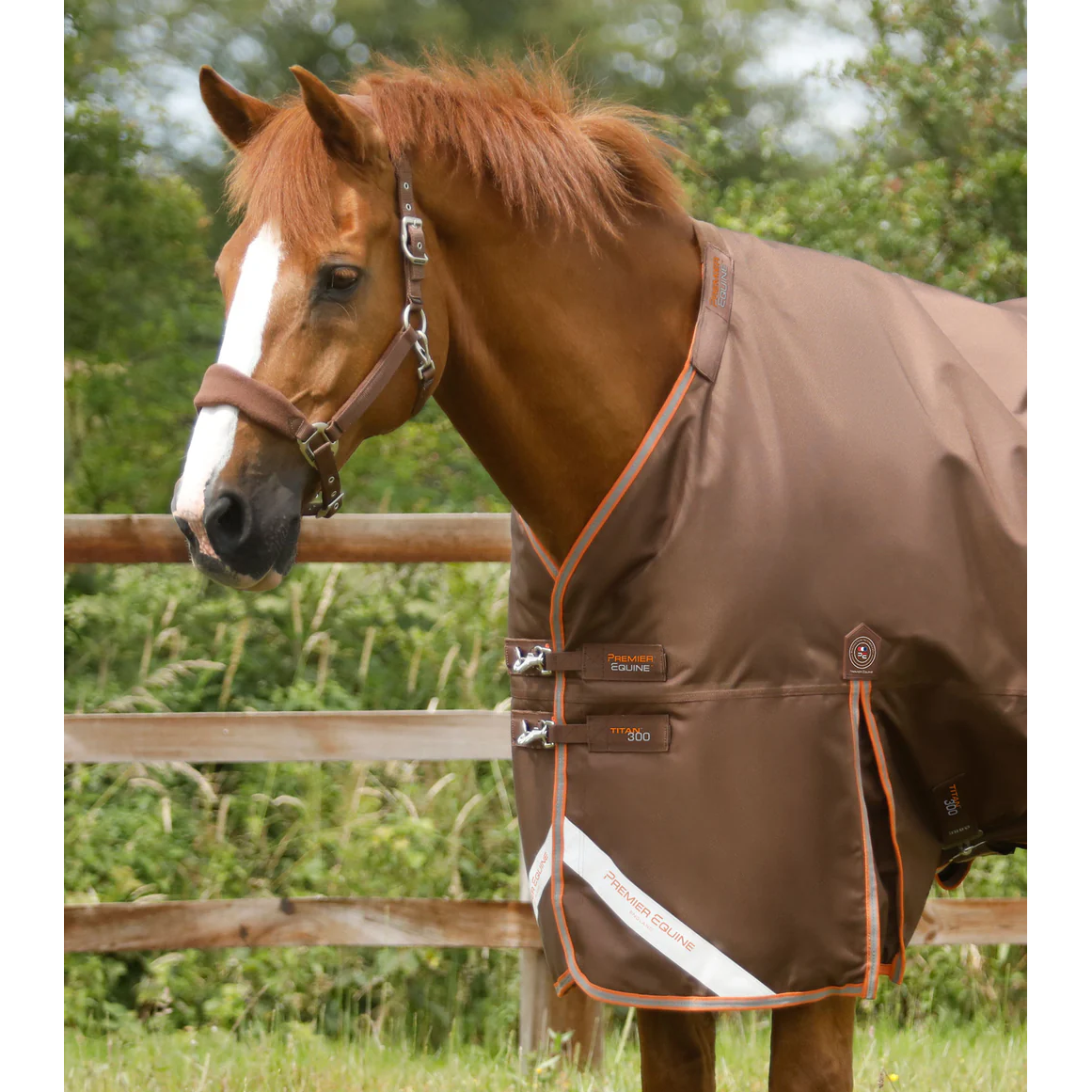 Titan 300g Turnout Rug with Snug-Fit Neck Cover