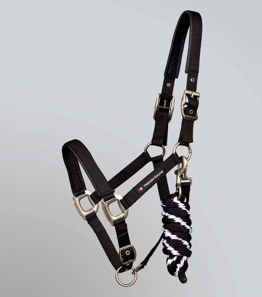 Plain Padded Head Collar with Lead Rope