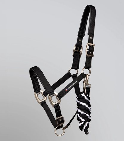 Plain Padded Head Collar with Lead Rope