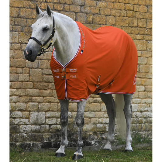 Atlas Horse Cooler Rug