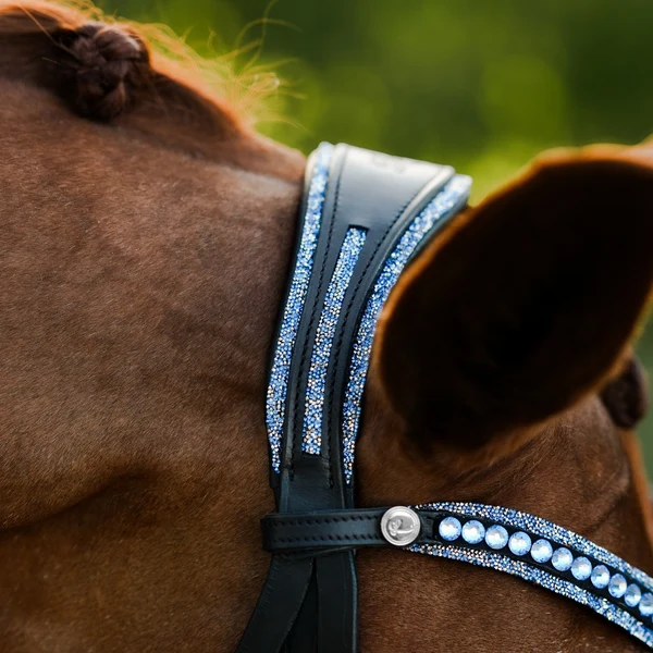 Paris Bridle (Cavesson) (No reins)