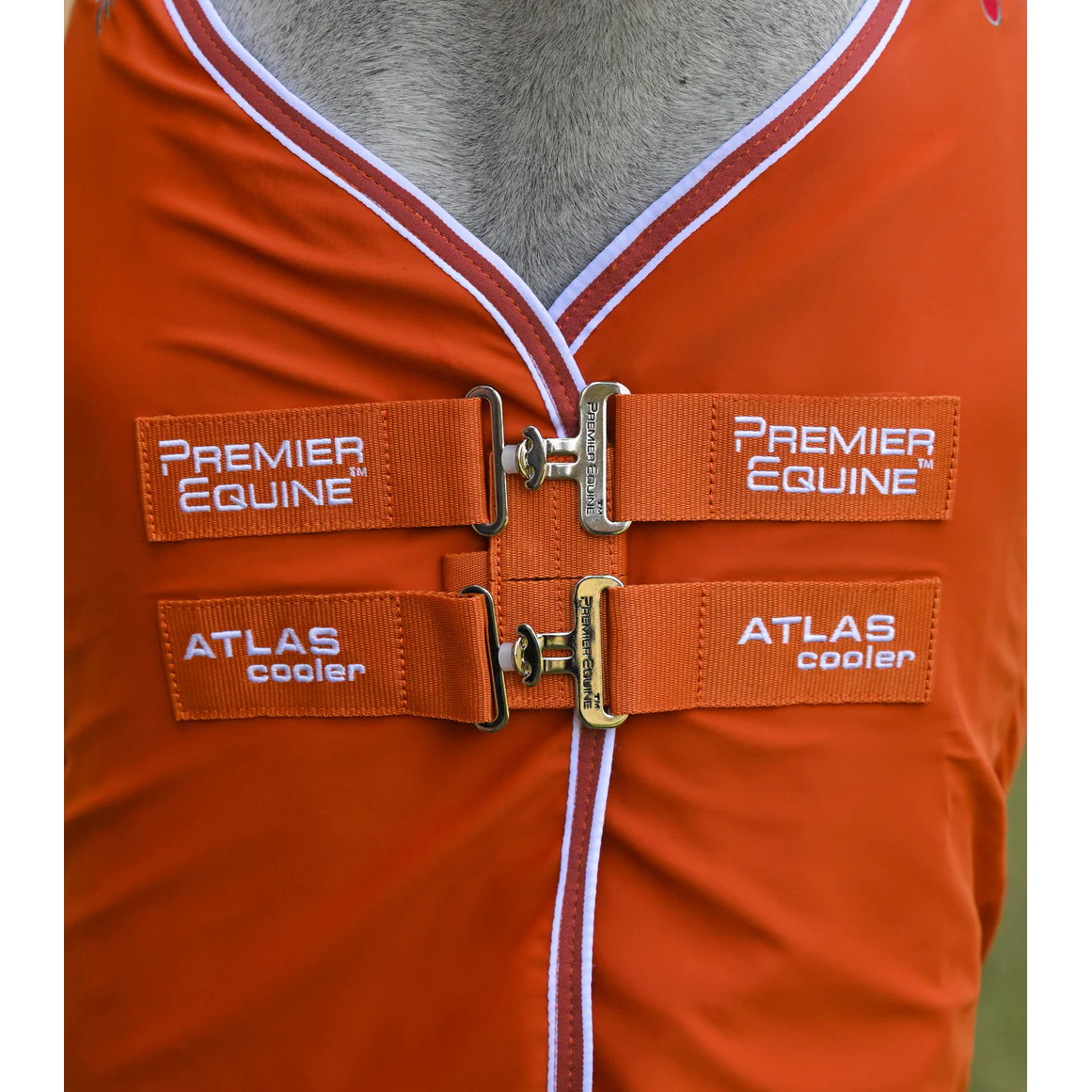 Atlas Horse Cooler Rug