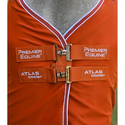 Atlas Horse Cooler Rug