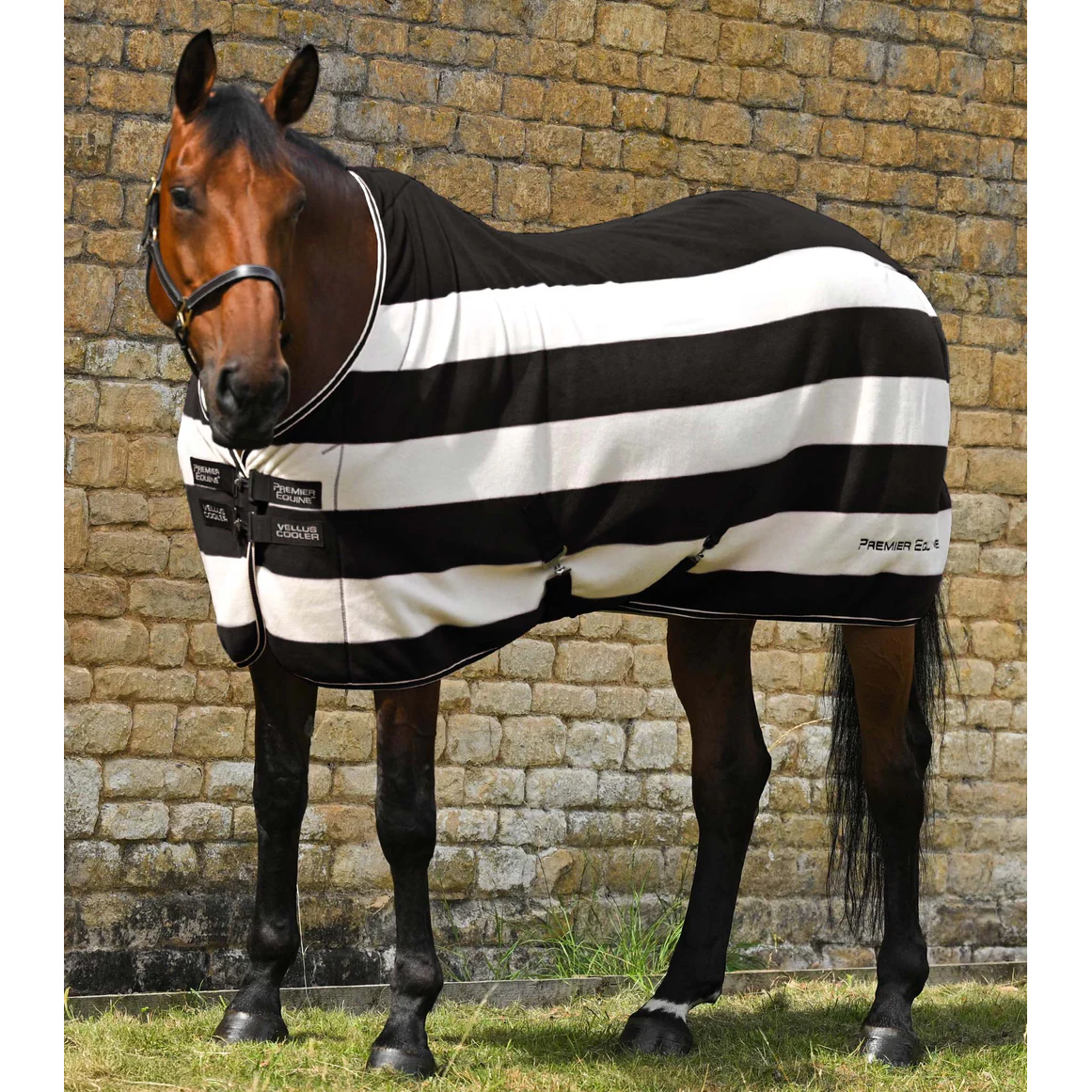 Vellus Fleece Rug