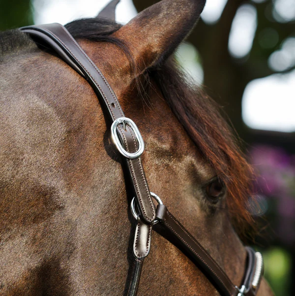 Perseus Leather Halter