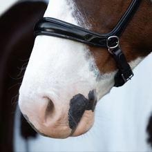 Load image into Gallery viewer, Symphony Bitless Bridle (No reins)