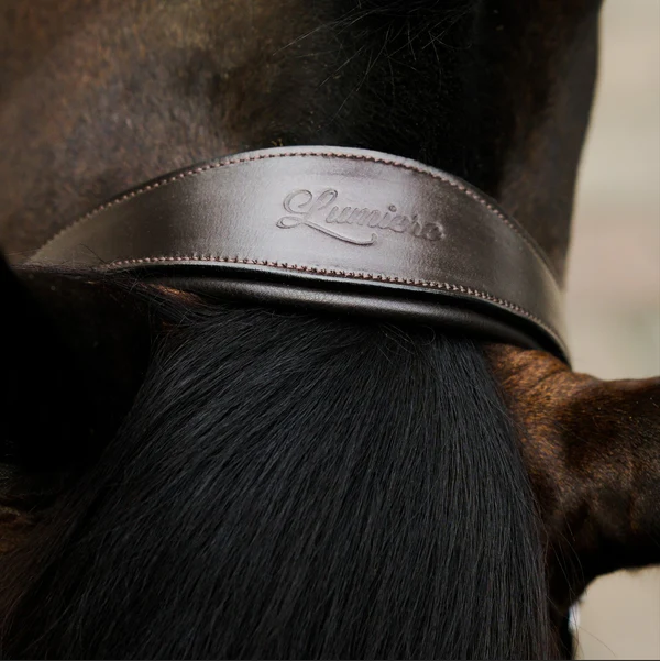 Perseus Leather Halter