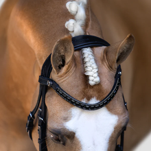 Load image into Gallery viewer, Audrey Rolled Leather Bridle (Hanoverian) (No reins)