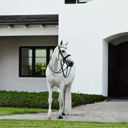 Saphira Bridle (Double) (No reins)