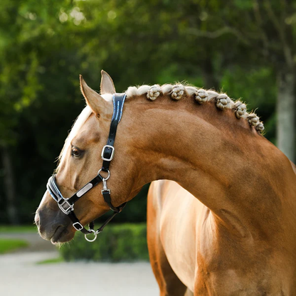 Paris Leather Halter