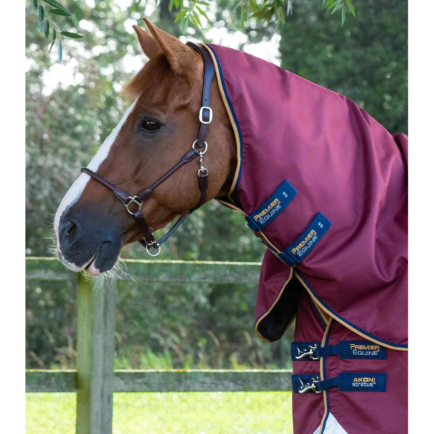 Akoni 0g Turnout Rug with Classic Neck Cover