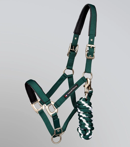 Plain Padded Head Collar with Lead Rope