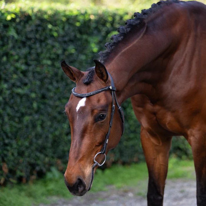 Sienna Nosebandless Bridle (No reins)