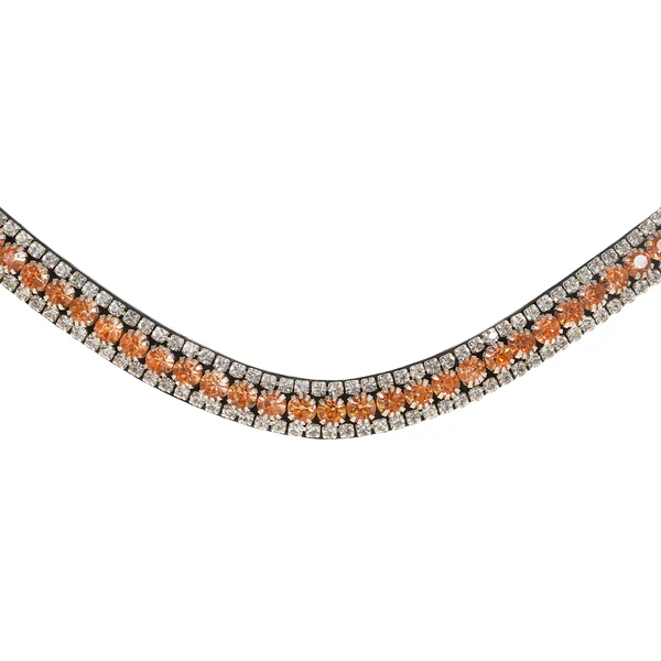 Champagne Crystal Browband (Black Leather) - Cob Size