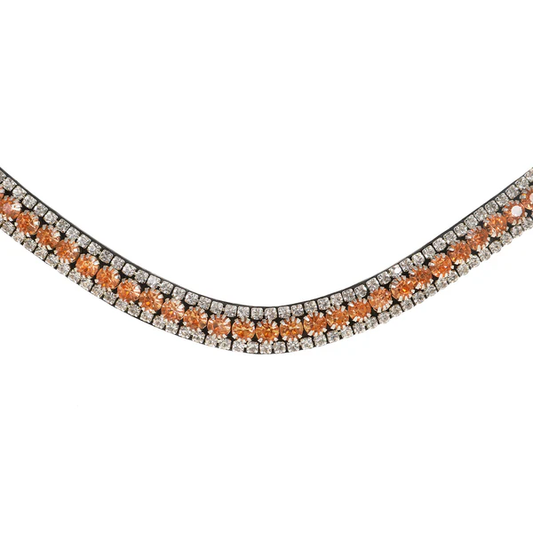 Champagne Crystal Browband (Black Leather) - Cob Size
