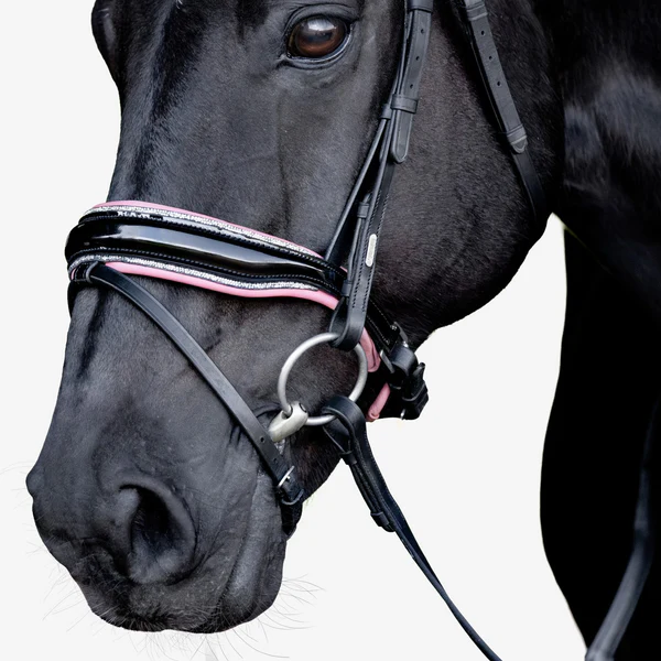 Paloma Bridle (Hanoverian) (No reins)