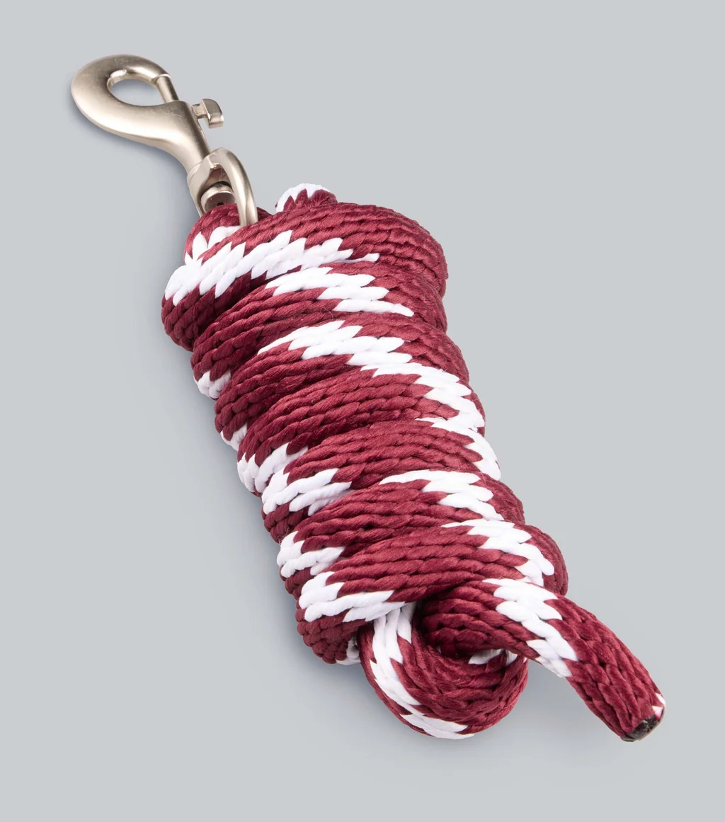 Plain Padded Head Collar with Lead Rope