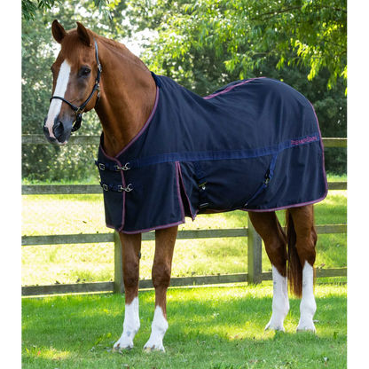 Barrasso Stable Sheet