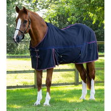 Load image into Gallery viewer, Barrasso Stable Sheet