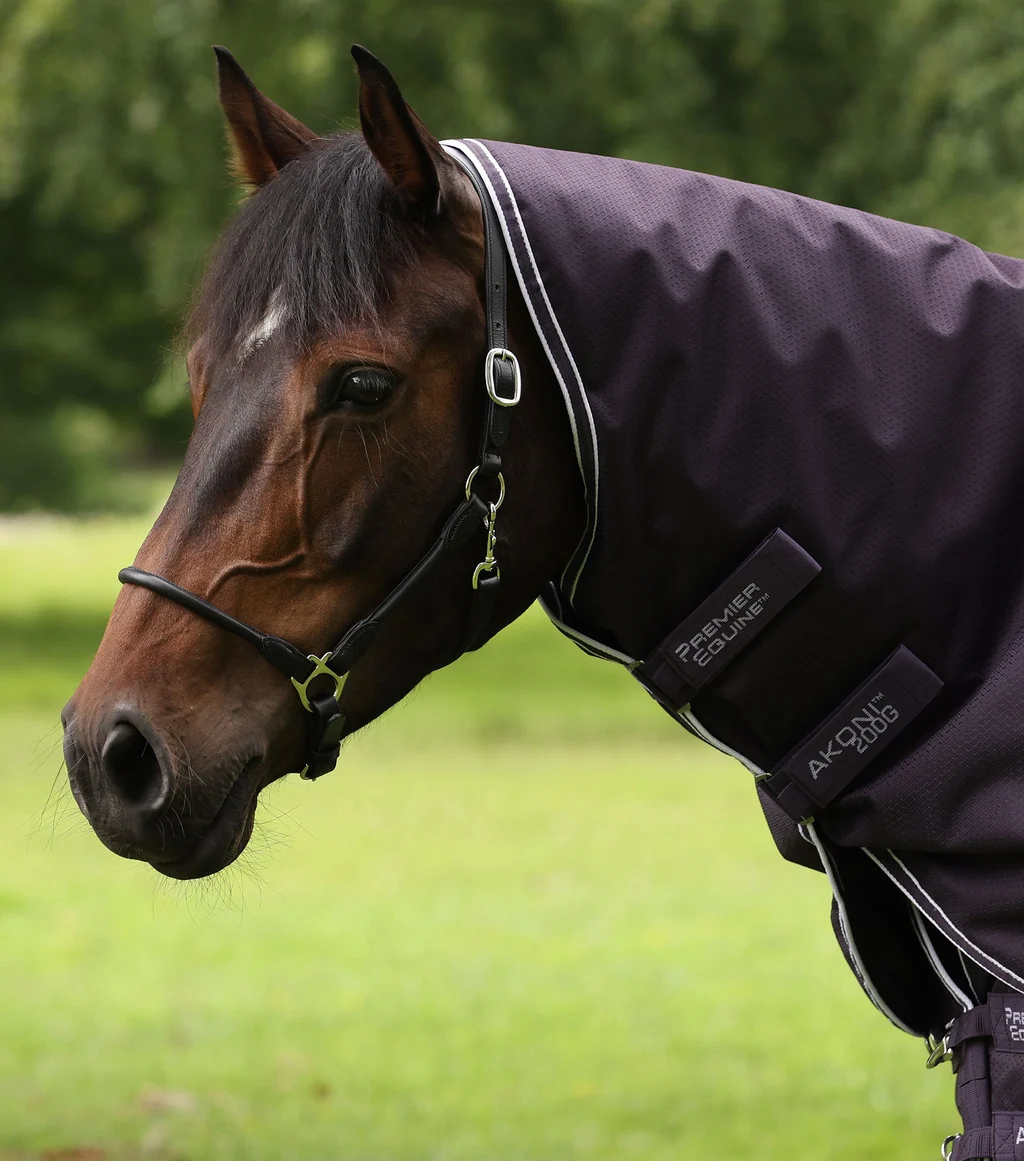 Akoni 200g Turnout Rug with Classic Neck Cover