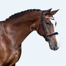 Load image into Gallery viewer, Adeline Italian Leather Bridle (Cavesson) (No reins)
