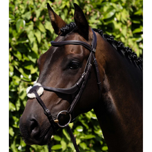 Load image into Gallery viewer, Glorioso Grackle Bridle (No reins)