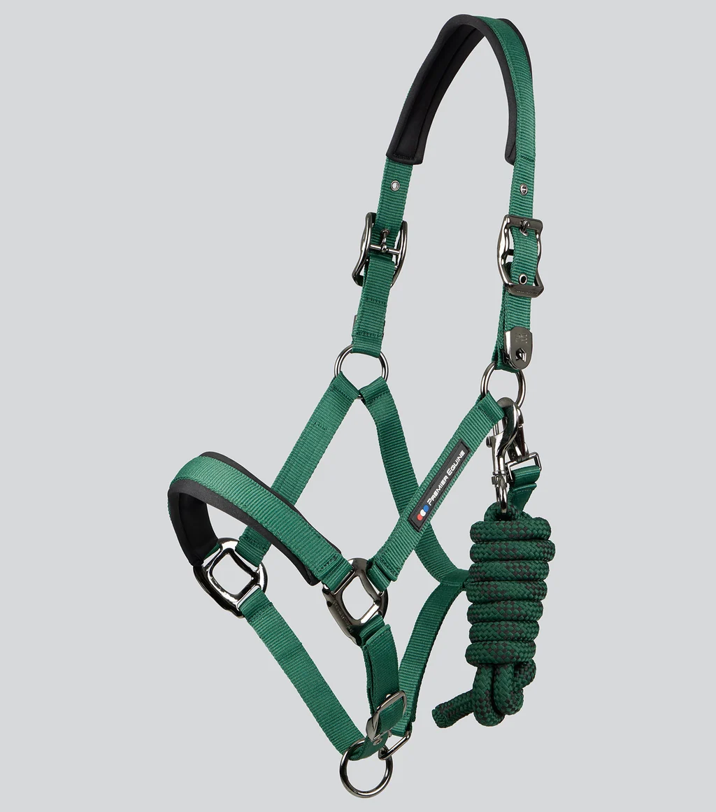 Corda Padded Head Collar with Lead Rope