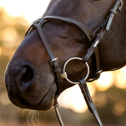 Pia Grackle Bridle (No reins)