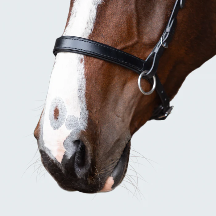Seline Bitless Bridle (No reins)
