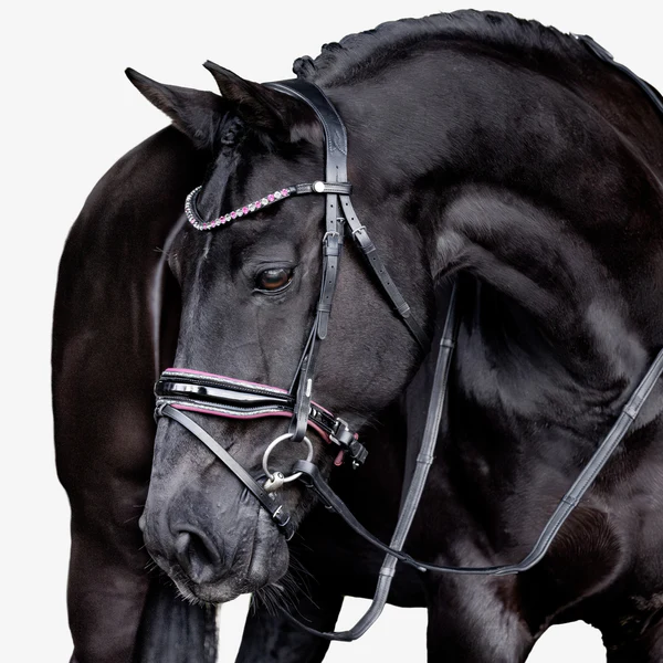 Paloma Bridle (Hanoverian) (No reins)