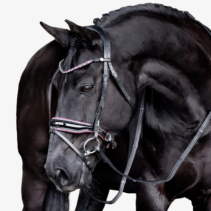 Paloma Bridle (Hanoverian) (No reins)