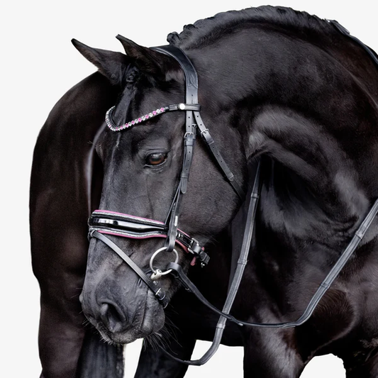 Paloma Bridle (Hanoverian) (No reins)