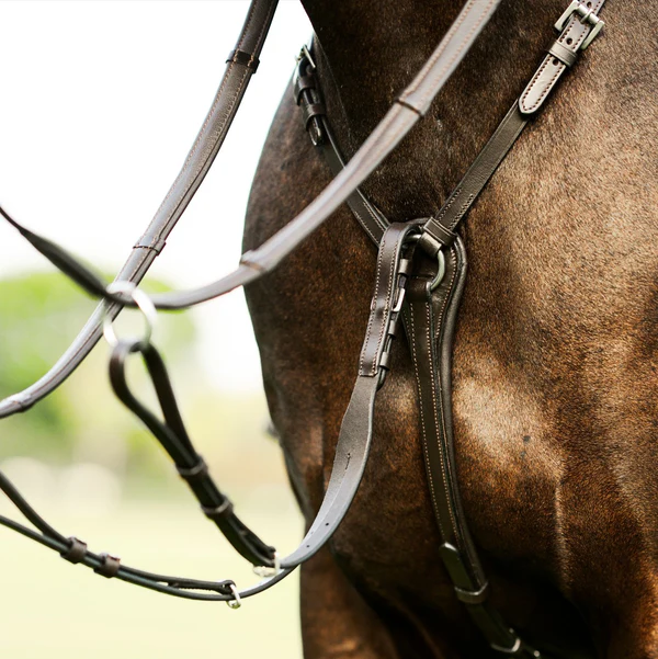 Perseus 3 Point Breastplate