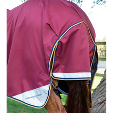 Load image into Gallery viewer, Akoni 0g Turnout Rug with Classic Neck Cover