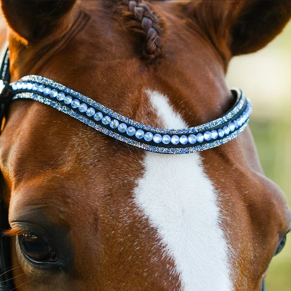 Paris Bridle (Cavesson) (No reins)