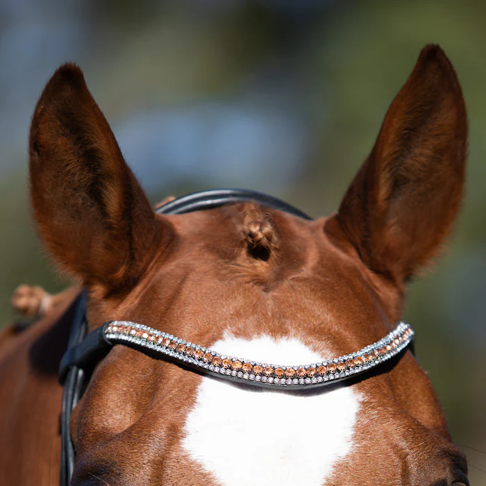 Madeline Rolled Leather Bridle (Cavesson) (No reins)