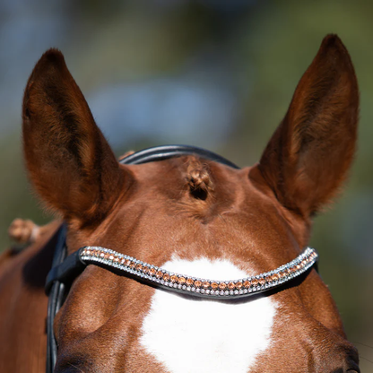 Madeline Rolled Leather Bridle (Cavesson) (No reins)