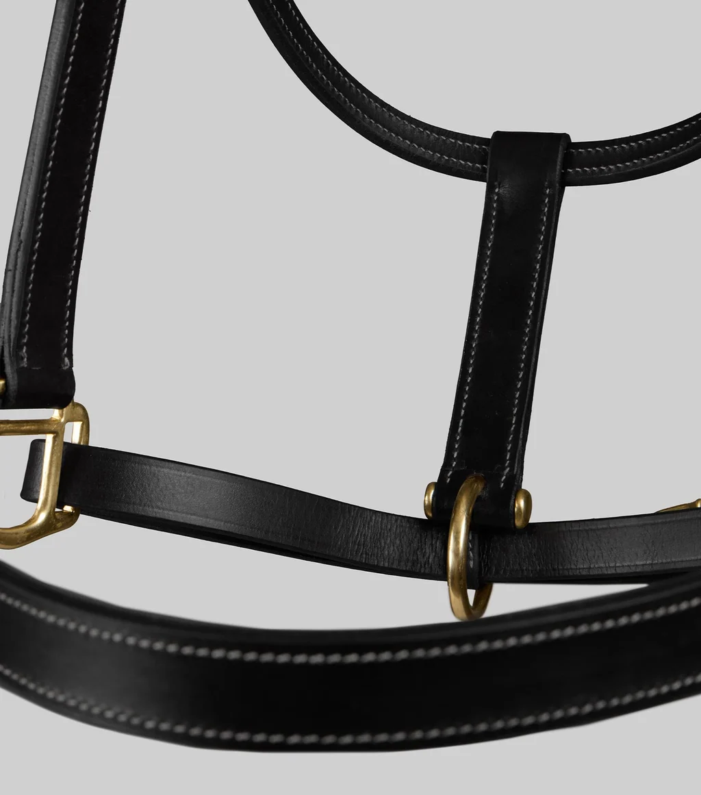 Traditional Leather Headcollar
