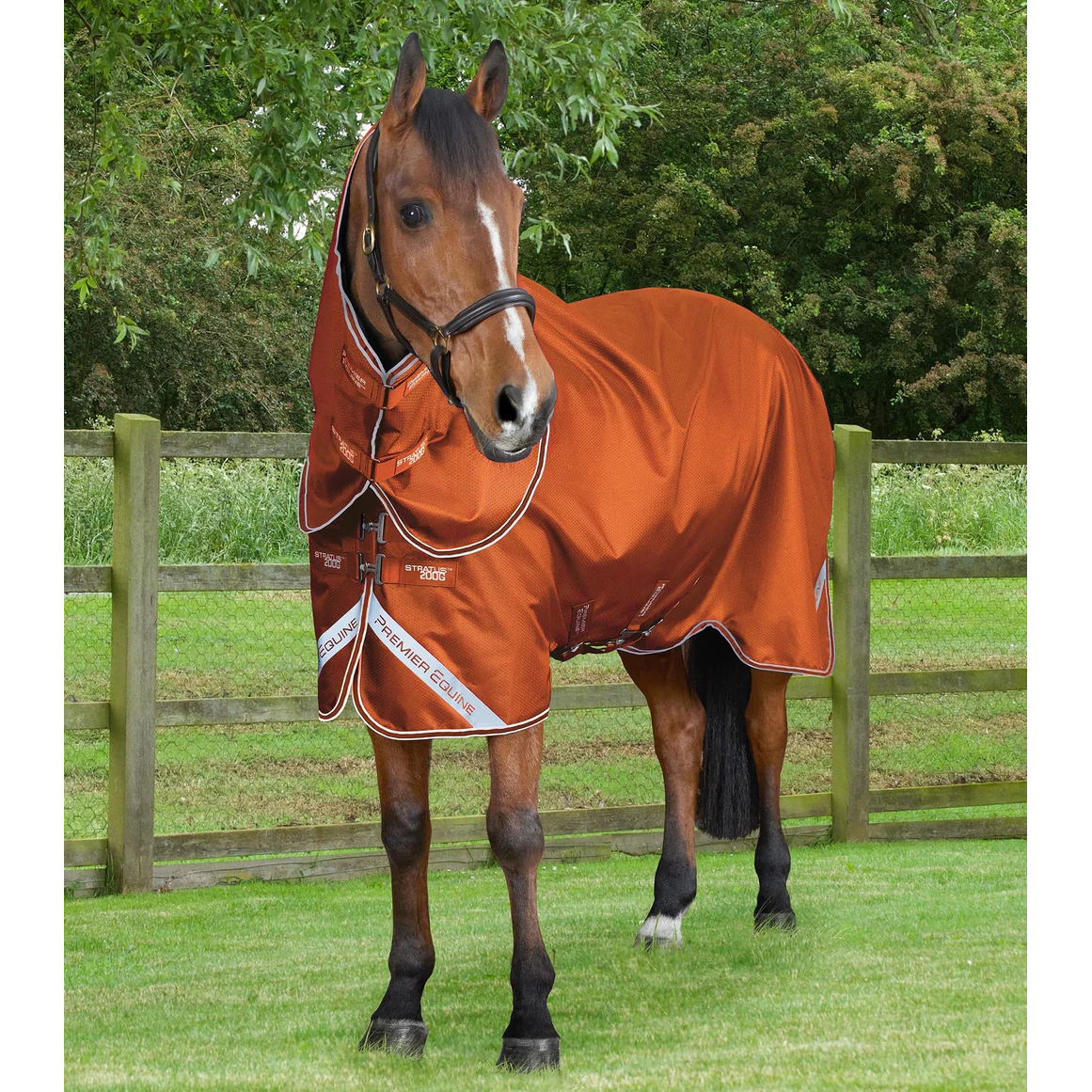 Stratus 600D Series 200g Turnout Rug with Classic Neck Cover